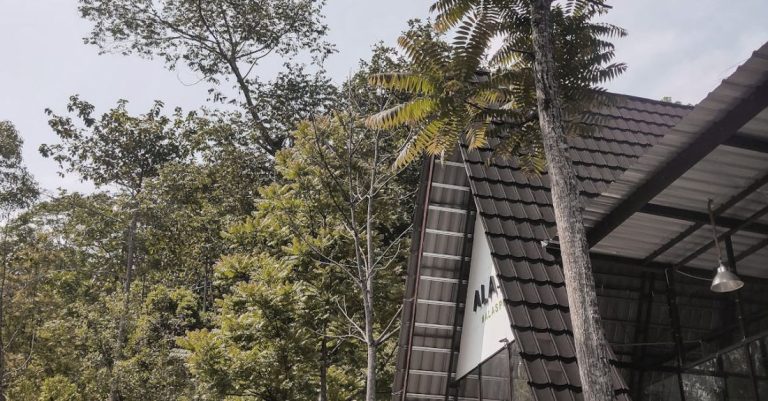 Homestays - Green Trees Near Wooden House