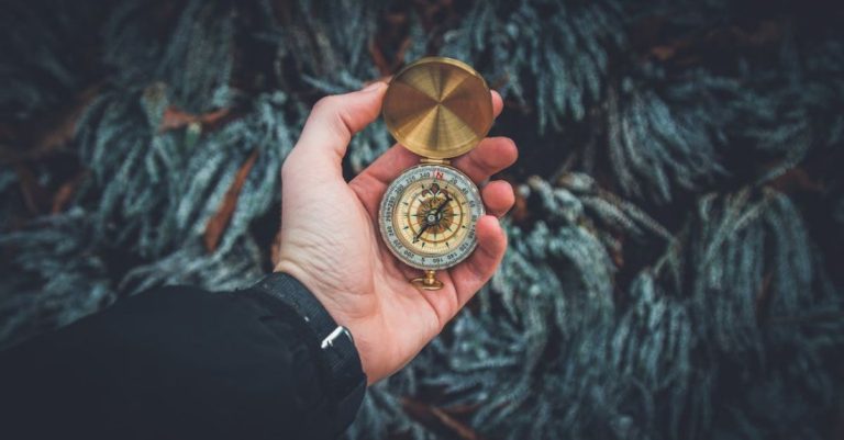 Guide - Person Holding Compass