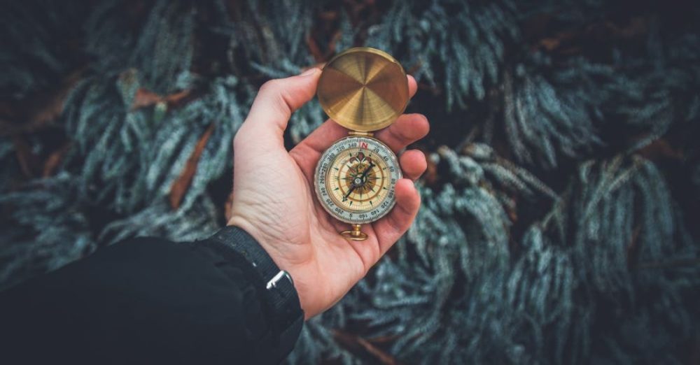Guide - Person Holding Compass